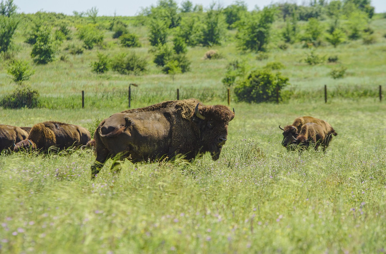 Мальовничі степи, скелі та каньйони: найкращі локації півдня України для теплої осінньої мандрівки